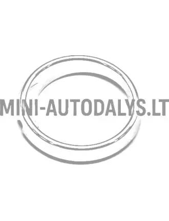 Žiedinis kairės pusės rūko žibintas Ligier (chromuotas)