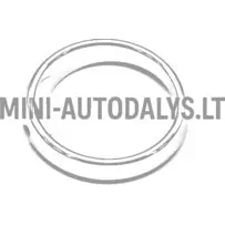 Žiedinis kairės pusės rūko žibintas Ligier (chromuotas)