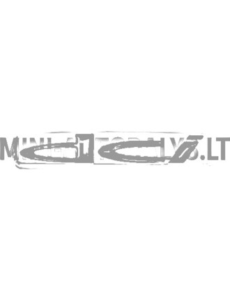 Logotipas su emblema "DCI" ant galinio liuko Ligier / Microcar