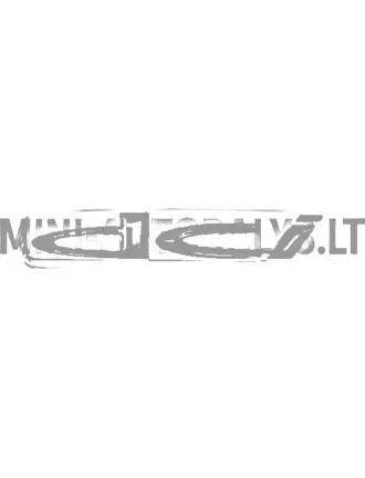 Logotipas su emblema "DCI" ant galinio liuko Ligier / Microcar