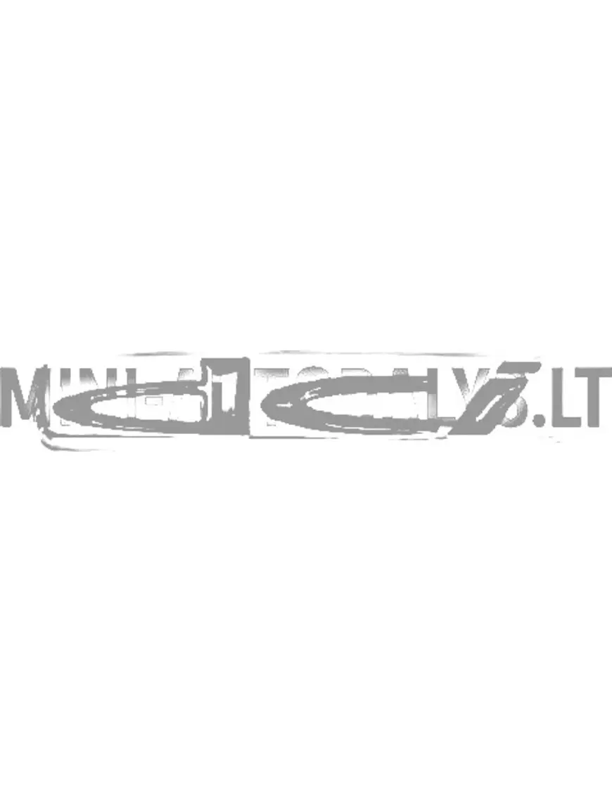 Logotipas su emblema "DCI" ant galinio liuko Ligier / Microcar