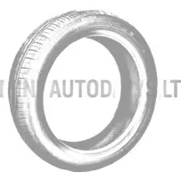 Padangos 165-50x16 Ligier JS50 / JS50L ph3 / JSJ60 / Myli