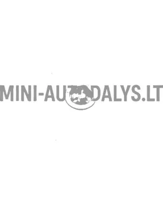 Variklio gaubto grotelės Microcar 1407232