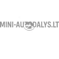 Variklio gaubto grotelės Microcar 1407232