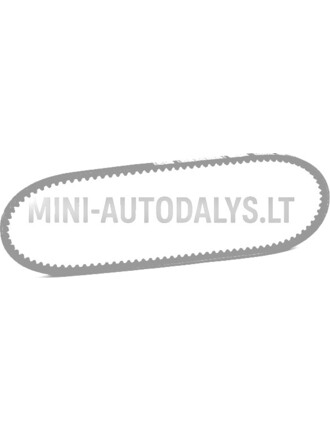 V-snaar Microcar / Grecav / Chatenet Lombardini 502 FOCS Progress (10x763 mm)
