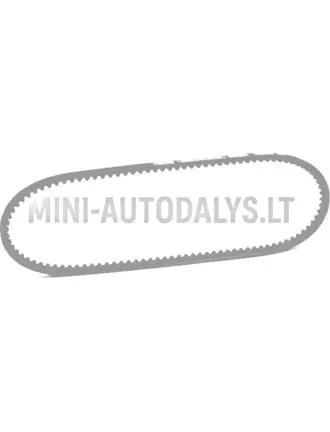 V-snaar Microcar / Grecav / Chatenet Lombardini 502 FOCS Progress (10x763 mm)