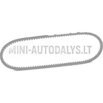 V-snaar Microcar / Grecav / Chatenet Lombardini 502 FOCS Progress (10x763 mm)