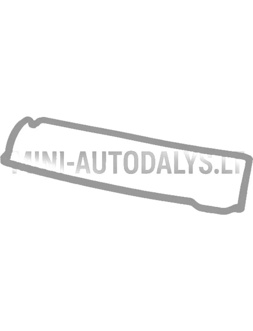 Vožtuvo dangtelio tarpiklis Lombardini 442 DCI
