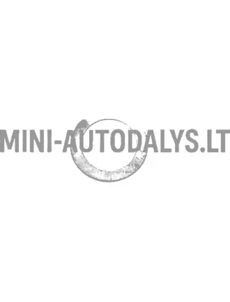 Žiedo praėjimo lizdas motovario