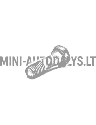 Montavimo varžtas pavarų dėžės vario Ligier / Microcar