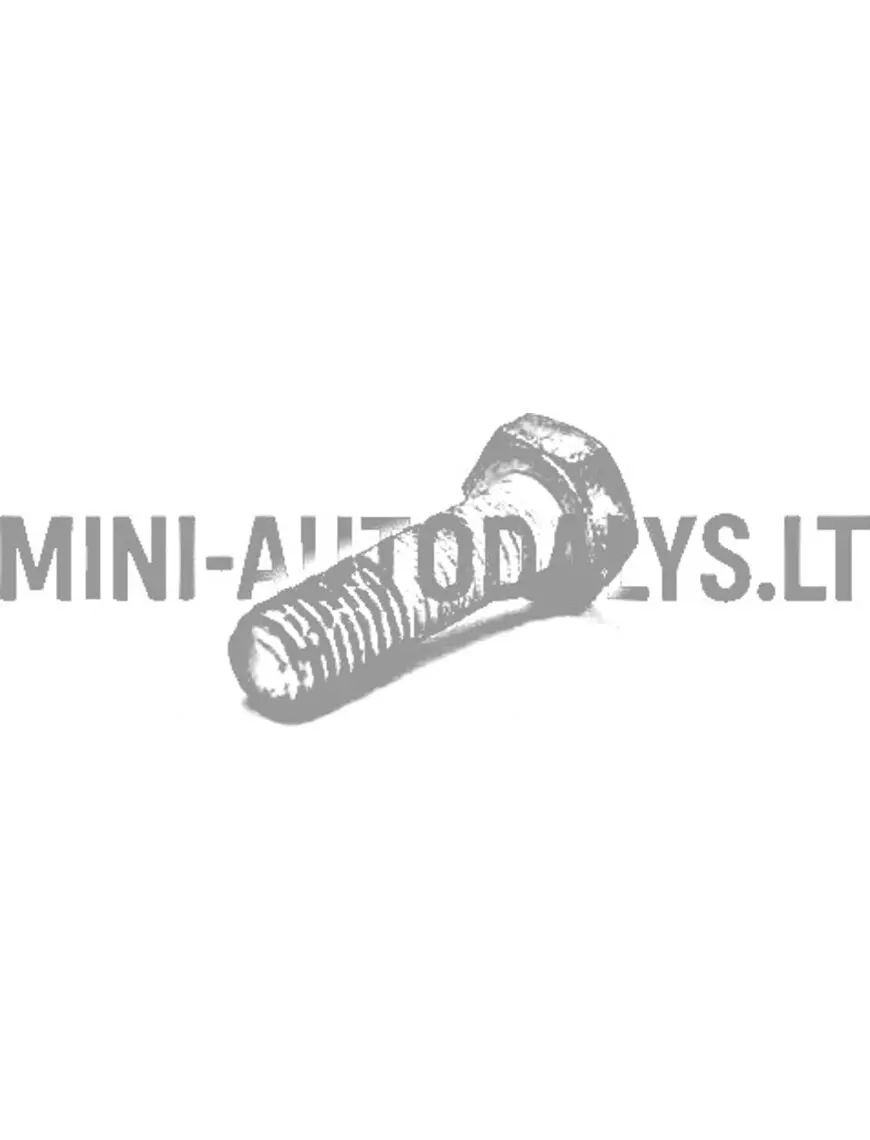 Montavimo varžtas pavarų dėžės vario Ligier / Microcar