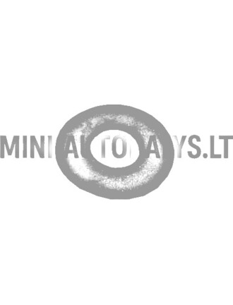 Guminio žiedo tvirtinimo veržlė galinių durelių / galinio lango Aixam