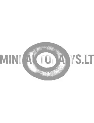 Guminio žiedo tvirtinimo veržlė galinių durelių / galinio lango Aixam