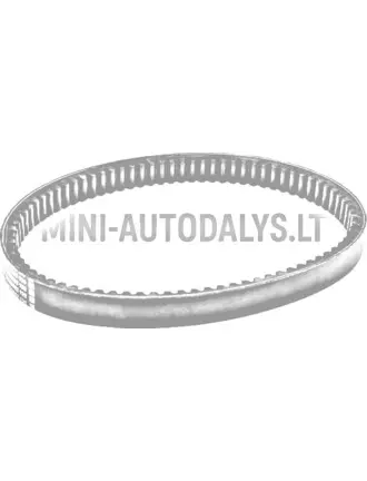 Pavaros diržas Aixam 3HP23 B1211AA1096