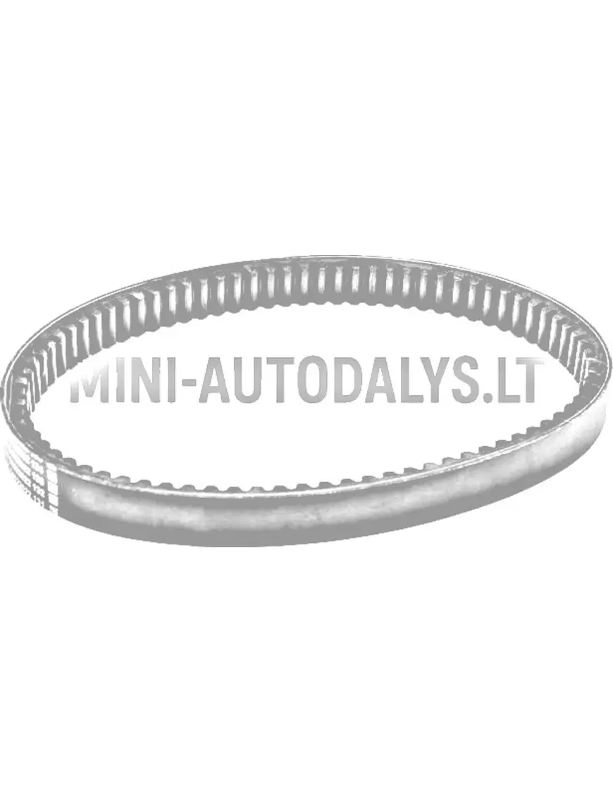 Pavaros diržas Aixam 3HP23 B1211AA1096