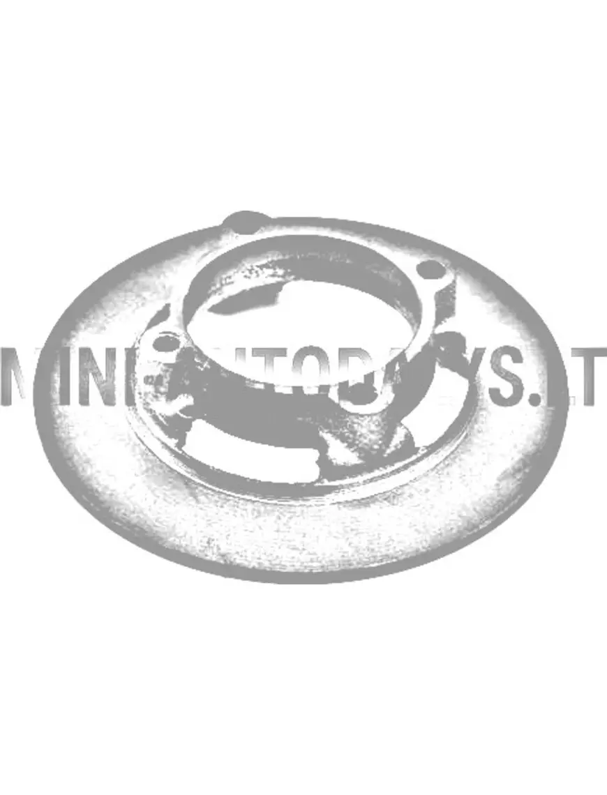 Priekinis stabdžių diskas Microcar Virgo / MC1 / MC2 / JDM Titane (Ø 170 mm)