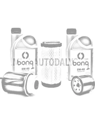 Filtrų paketas Lombardini 442 / 492 / 480 DCI + 2 litrai variklinės alyvos