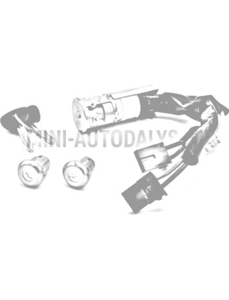 Uždegimo spynelė Aixam / Grecav / JDM / Chatenet