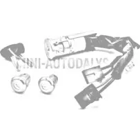 Uždegimo spynelė Aixam / Grecav / JDM / Chatenet