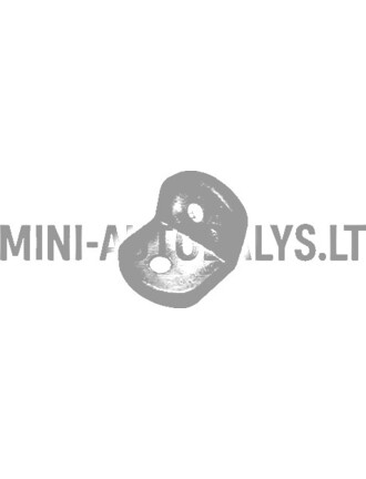 Galinių durelių vyrių montavimo kampas "Aixam