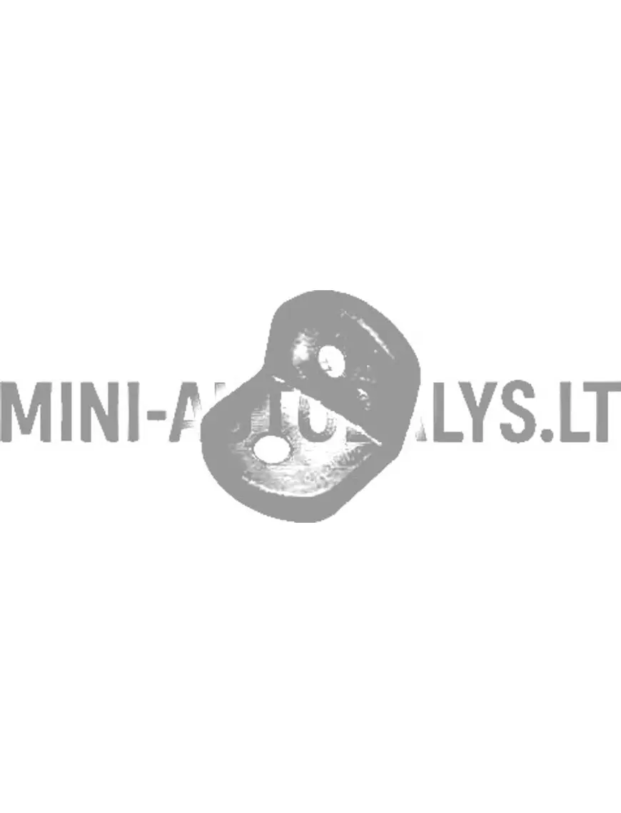 Galinių durelių vyrių montavimo kampas "Aixam