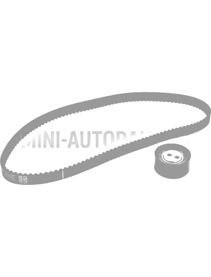 Paskirstymo rinkinys Lombardini 492 / 442 / 480 DCI