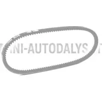 V formos diržas Lombardini 442 / 480 / 492 DCI (10x665 mm)
