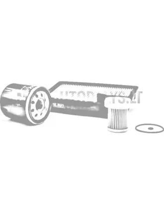 Filtrų paketas Aixam Kubota Z402