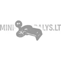 Kamuolinis varžtas galinių durelių amortizatorius apatinis dešinysis Aixam 1997-2010