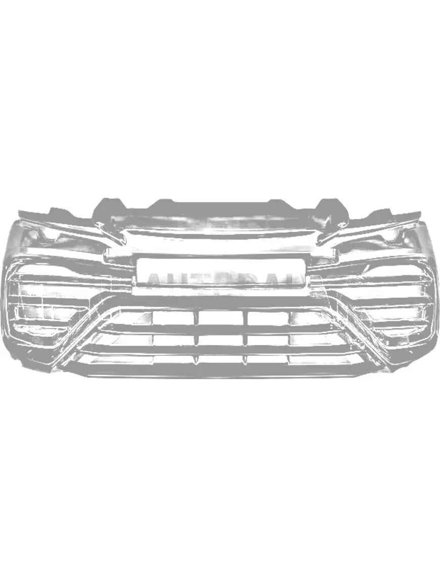 Priekinio bamperio grotelės Ligier JS50 Ph4 Sport (be DRL)