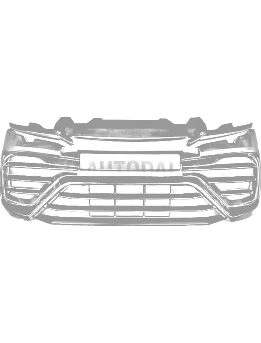 Priekinio bamperio grotelės Ligier JS50 Ph4 Sport (su DRL)