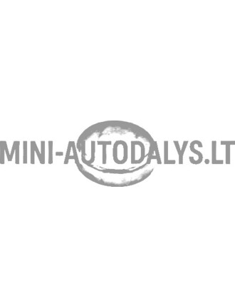 Užšaldymo kamštis "Aixam Kubota" varikliui (⌀ 28 mm)