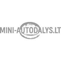 Užšaldymo kamštis "Aixam Kubota" varikliui (⌀ 28 mm)