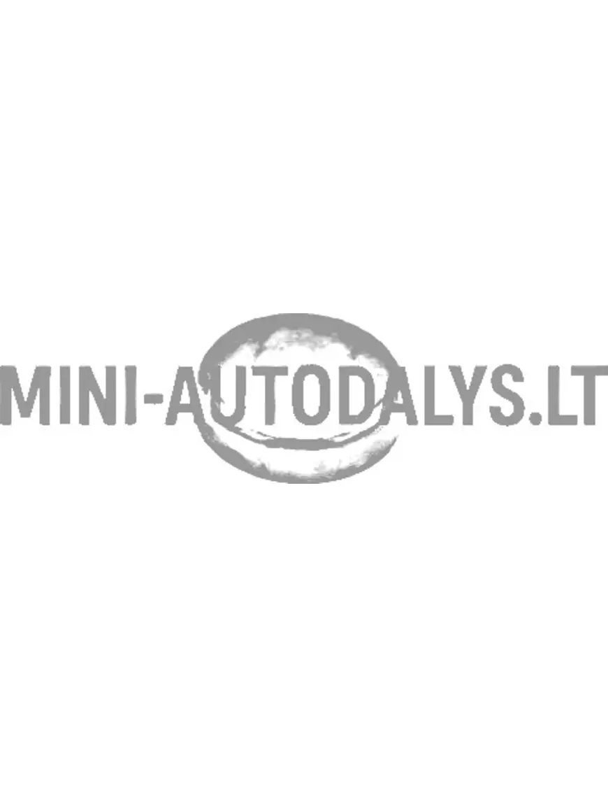 Užšaldymo kamštis "Aixam Kubota" varikliui (⌀ 28 mm)