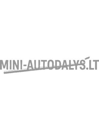 Gaubto apsauga Aixam D-Truck