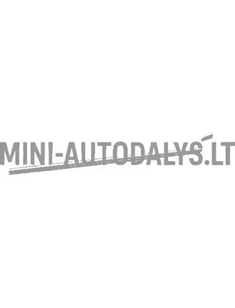 Gaubto apsauga Aixam D-Truck