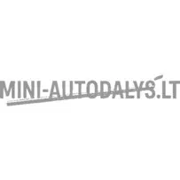 Gaubto apsauga Aixam D-Truck