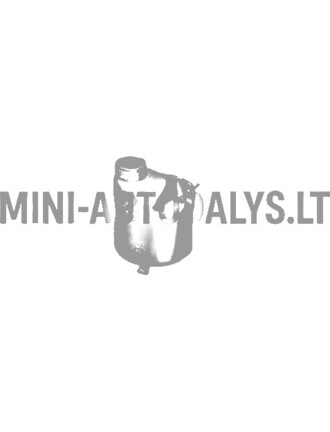 Aušinimo skysčio rezervuaras Aixam Vizija / Pojūtis / Emocija / Ambicija