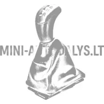 Pavarų perjungimo mechanizmas Aixam 2005-2012 m.