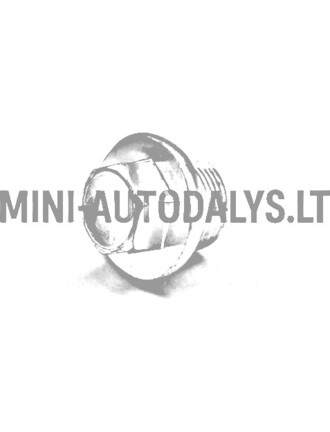 Alyvos išleidimo dangtelis karteris Yanmar