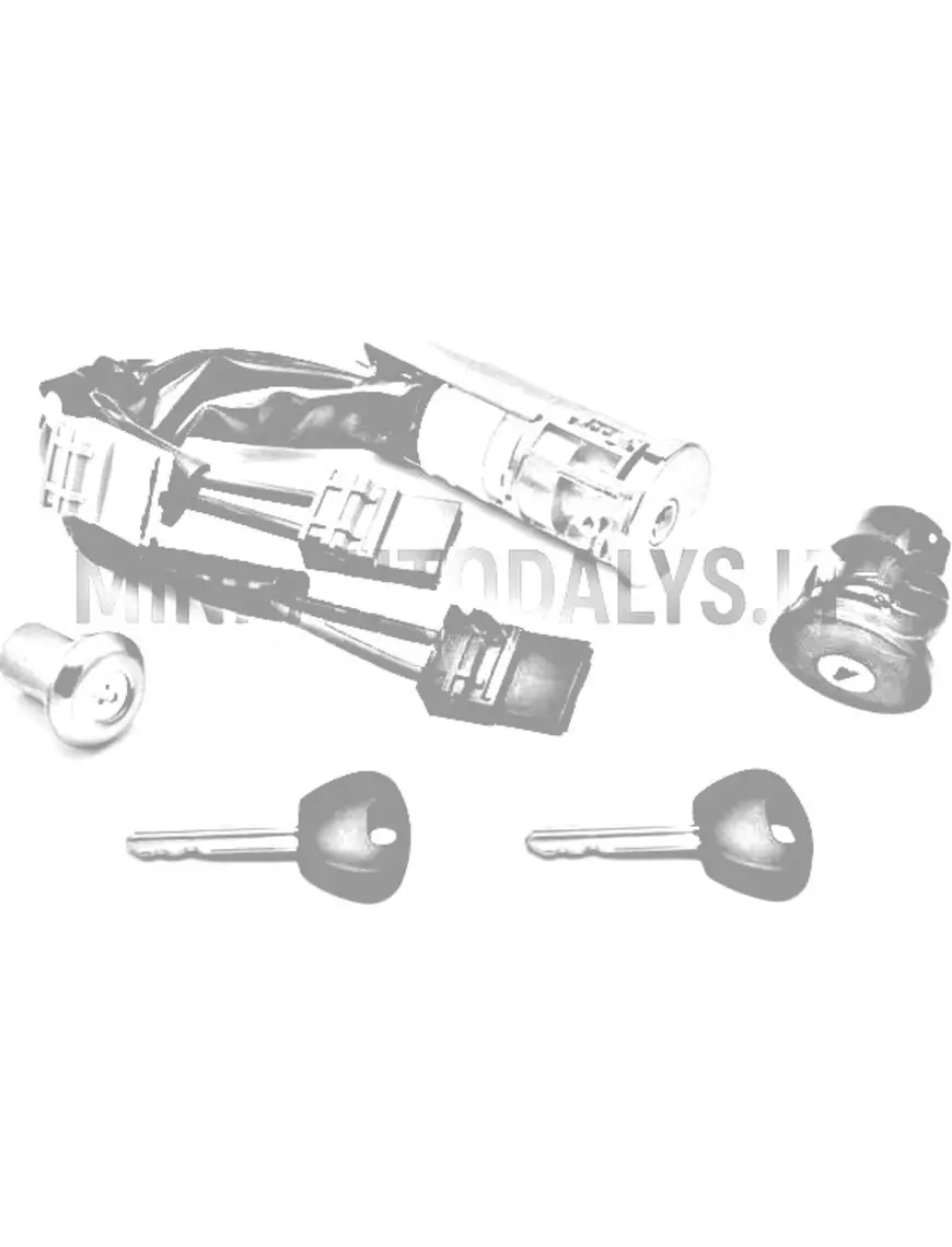 Uždegimo spynelės komplektas "Aixam Vision" / "Sensation" / "Minauto