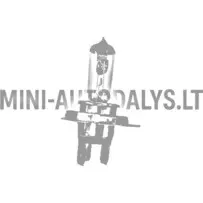 H4 lempa Mikroautobusas / JDM / Ligier / Bellier / Chatenet