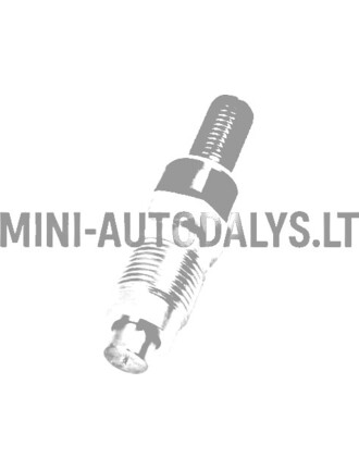 Inžektorius Aixam Kubota Z402 / Z482
