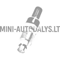 Inžektorius Aixam Kubota Z402 / Z482