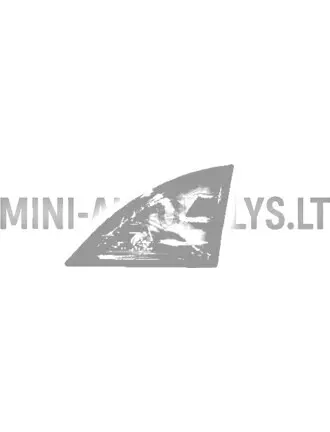 Galinio žibinto kampas galinis dešinysis Aixam Vision