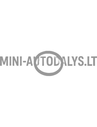 Alyvos įpylimo angos dangtelis su sandarinimo žiedu "Lombardini