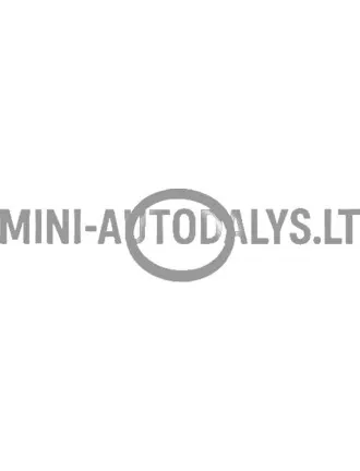 Alyvos įpylimo angos dangtelis su sandarinimo žiedu "Lombardini