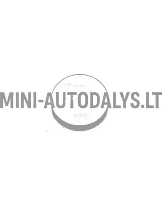 Mikroautomobilio nuotolinio valdymo baterija CR 2032 3V