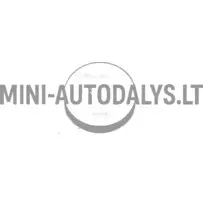 Mikroautomobilio nuotolinio valdymo baterija CR 2032 3V