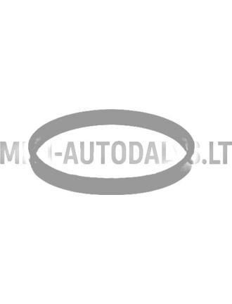 Termostato tarpiklis Lombardini 442 / 480 / 492 DCI